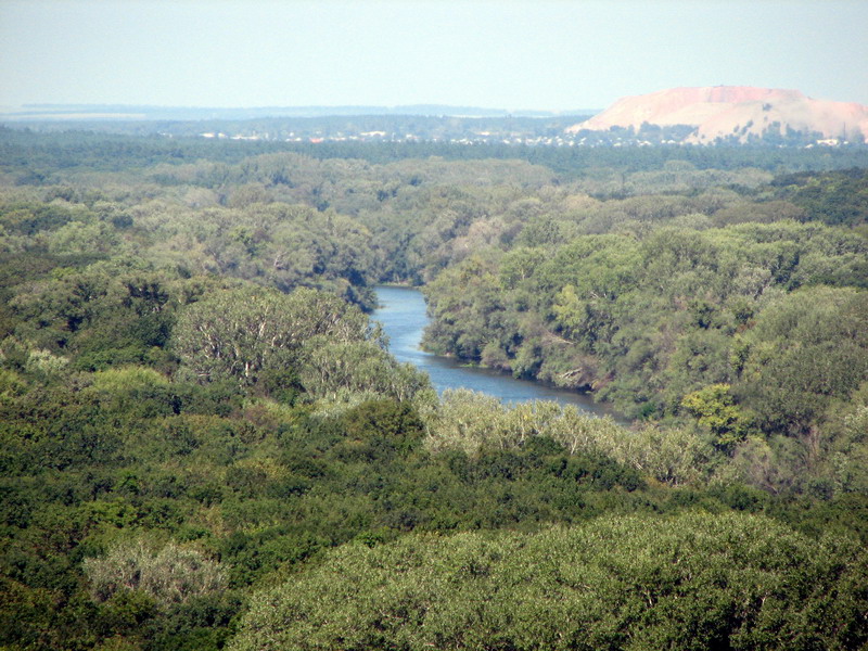 File:Donets near shipilivka2.JPG