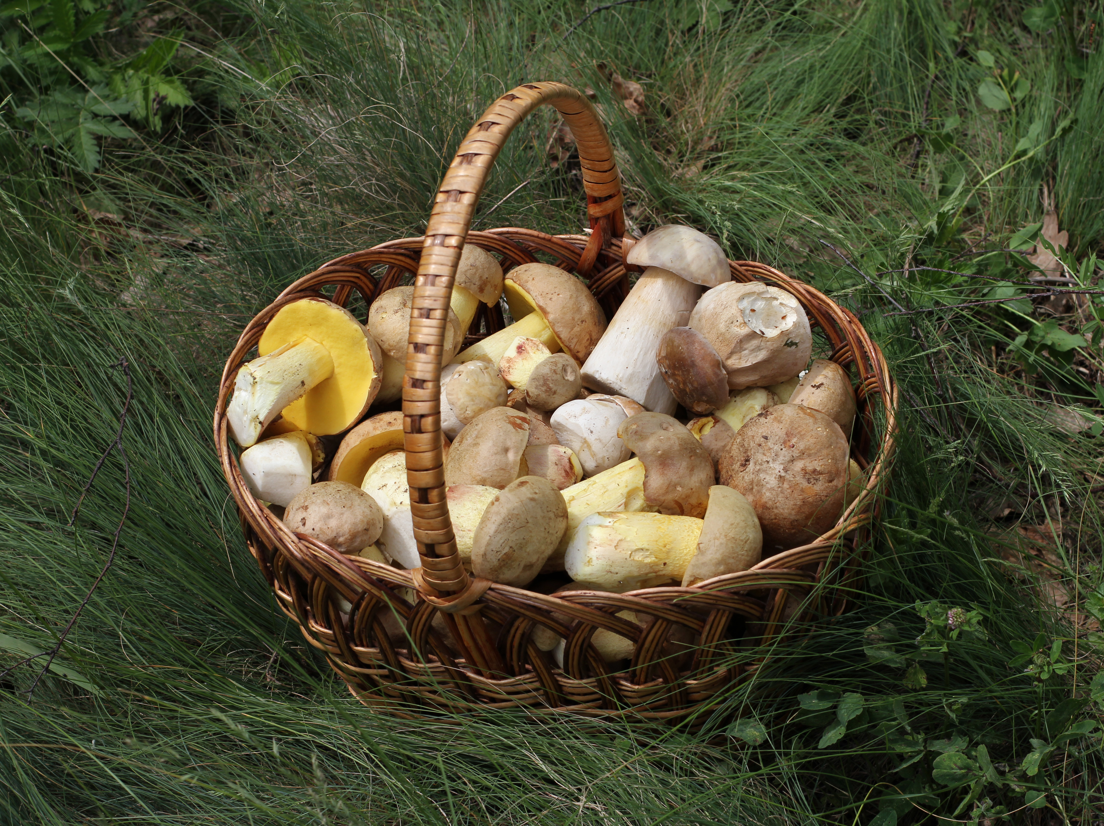 Handmade Wood Pack Baskets