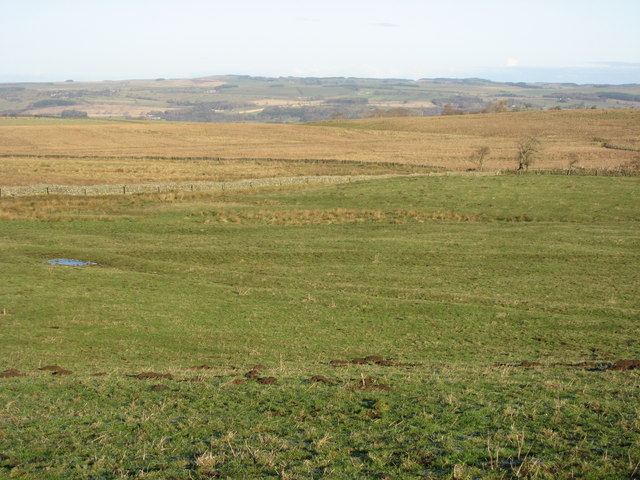 File:Farmland west of High Teppermoor (3) - geograph.org.uk - 1100865.jpg