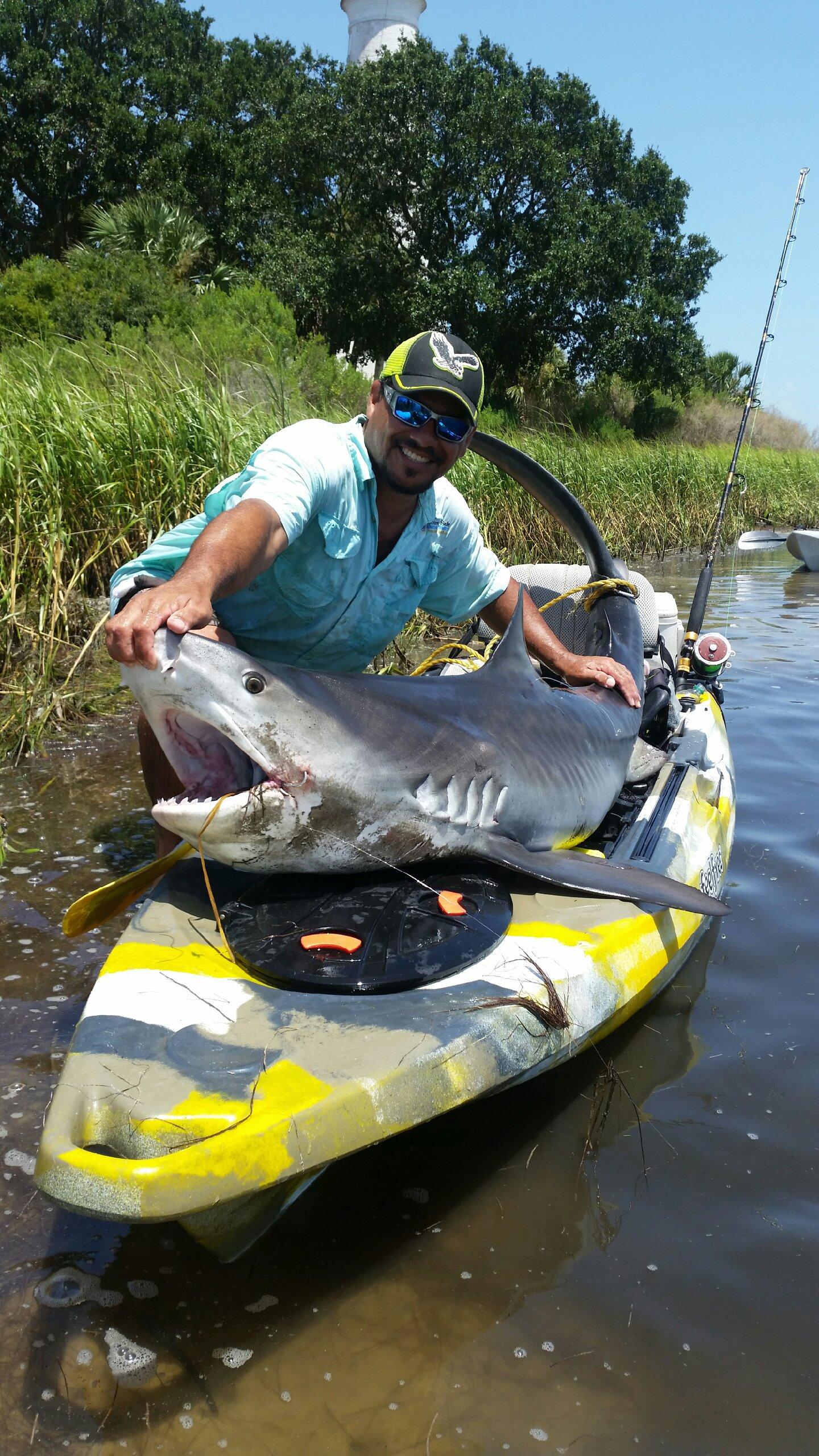 File:Fishing kayak FeelFree Lure with shark.jpg - Wikipedia