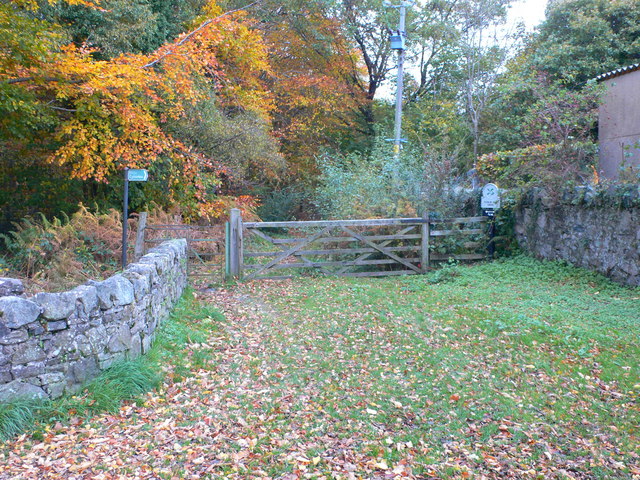 Footpath to Cadair Ifan Goch - geograph.org.uk - 2144129