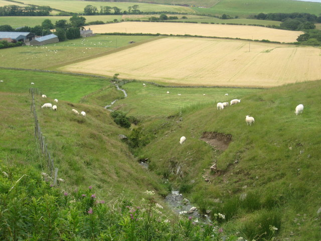 File:Grazing Land at Old Cambus East Mains - geograph.org.uk - 1406014.jpg