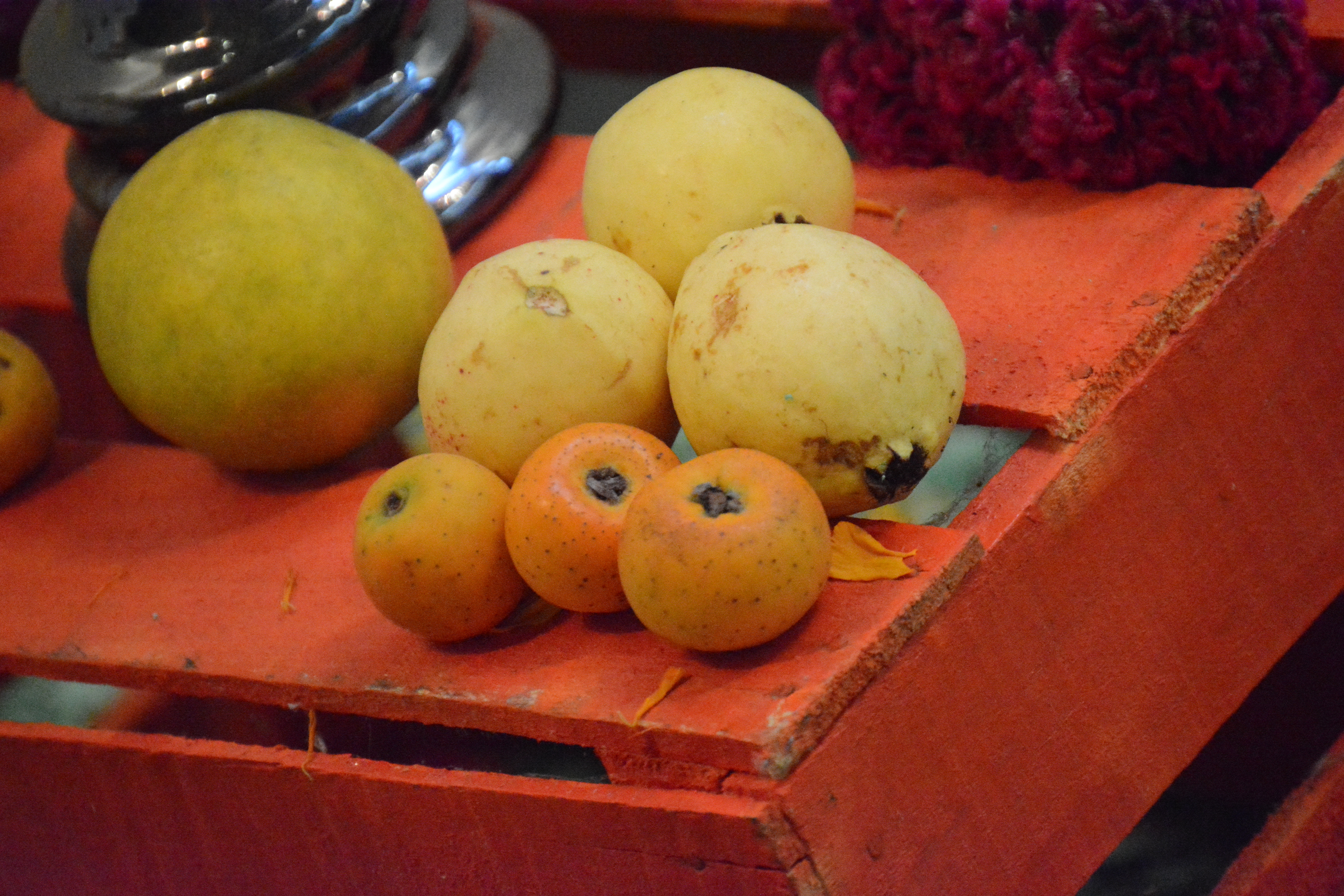 Day of the Dead altars 