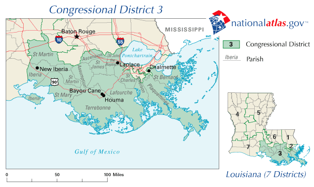 Louisiana's 3rd congressional district in 2010