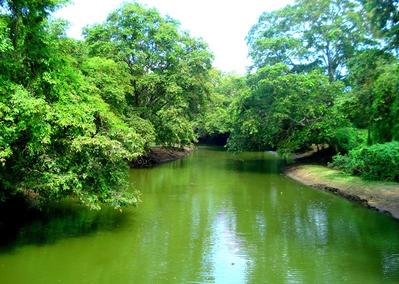 File:Malwatu River in the North Central Province of Sri Lanka.jpg