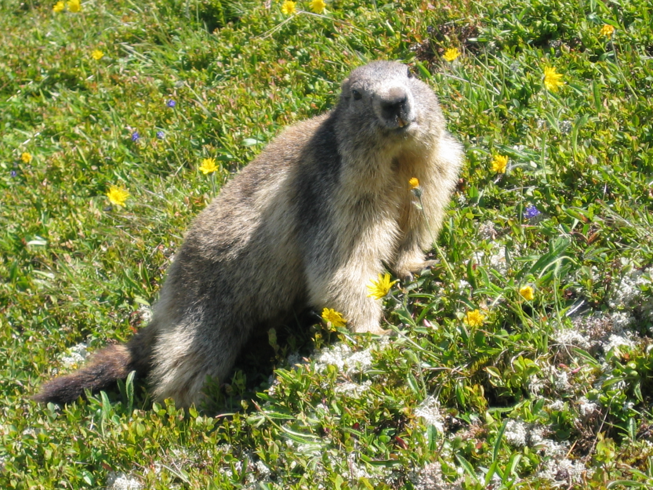 Ma liste pour la Valise de Maternité - La Marmotte et ses Marmots