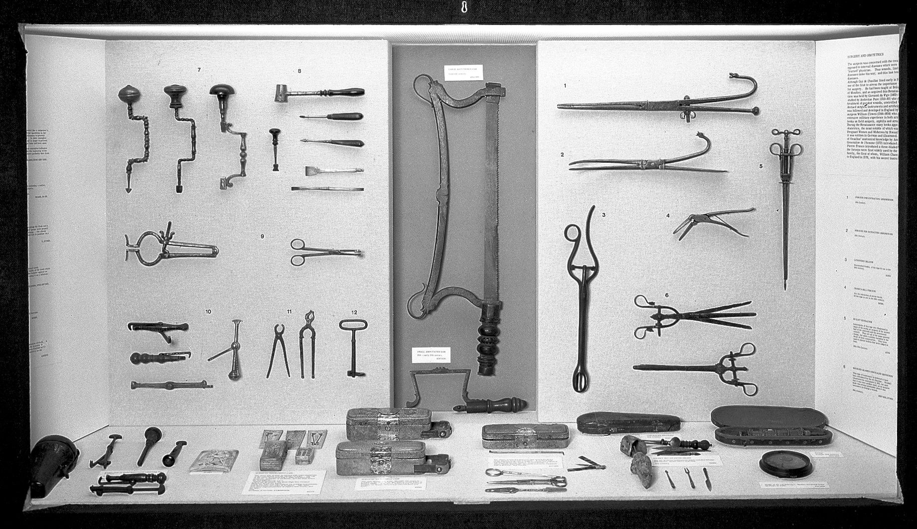 Museum objects. Removal of objects from the Museum in 1950.