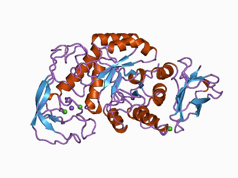 File:PDB 1bli EBI.jpg