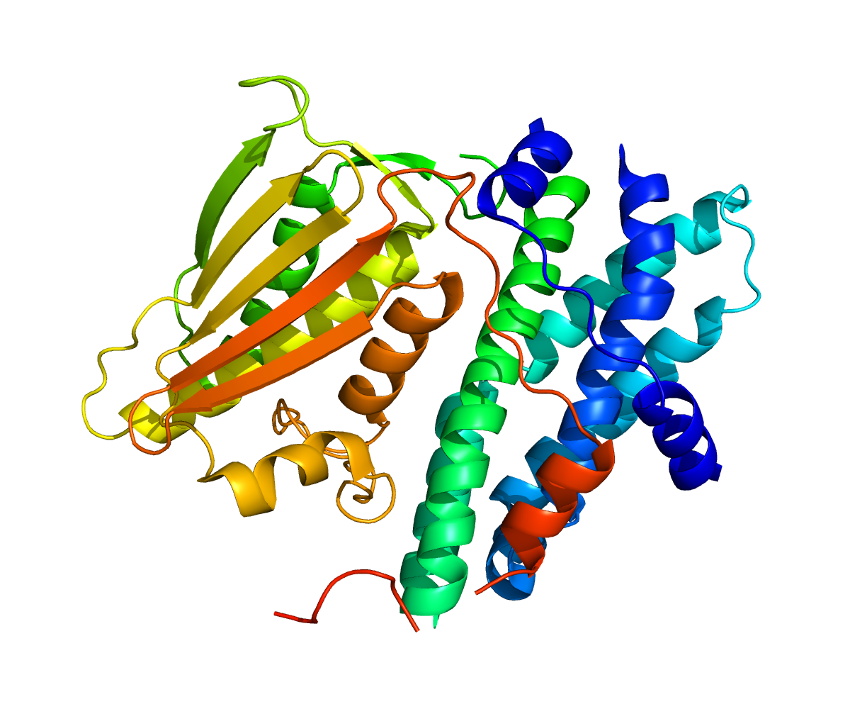 function glucose structure and lipoamide kinase dehydrogenase Pyruvate 1 isozyme  Wikipedia