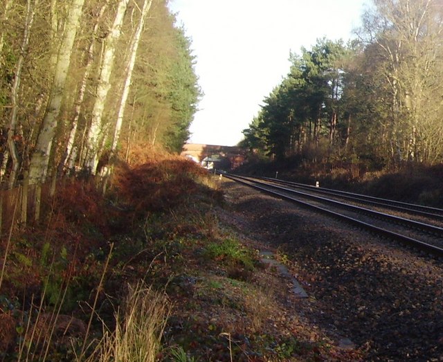 File:Railway line between Sandhurst and Crowthorne - geograph.org.uk - 653378.jpg