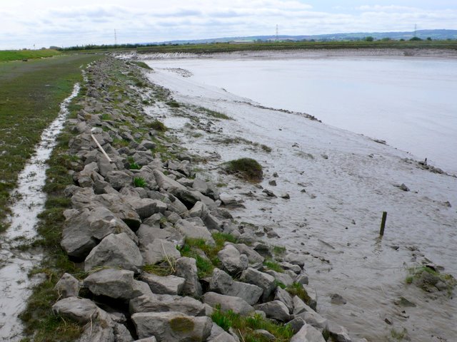 File:River Parrett near Dunball - geograph.org.uk - 1500075.jpg