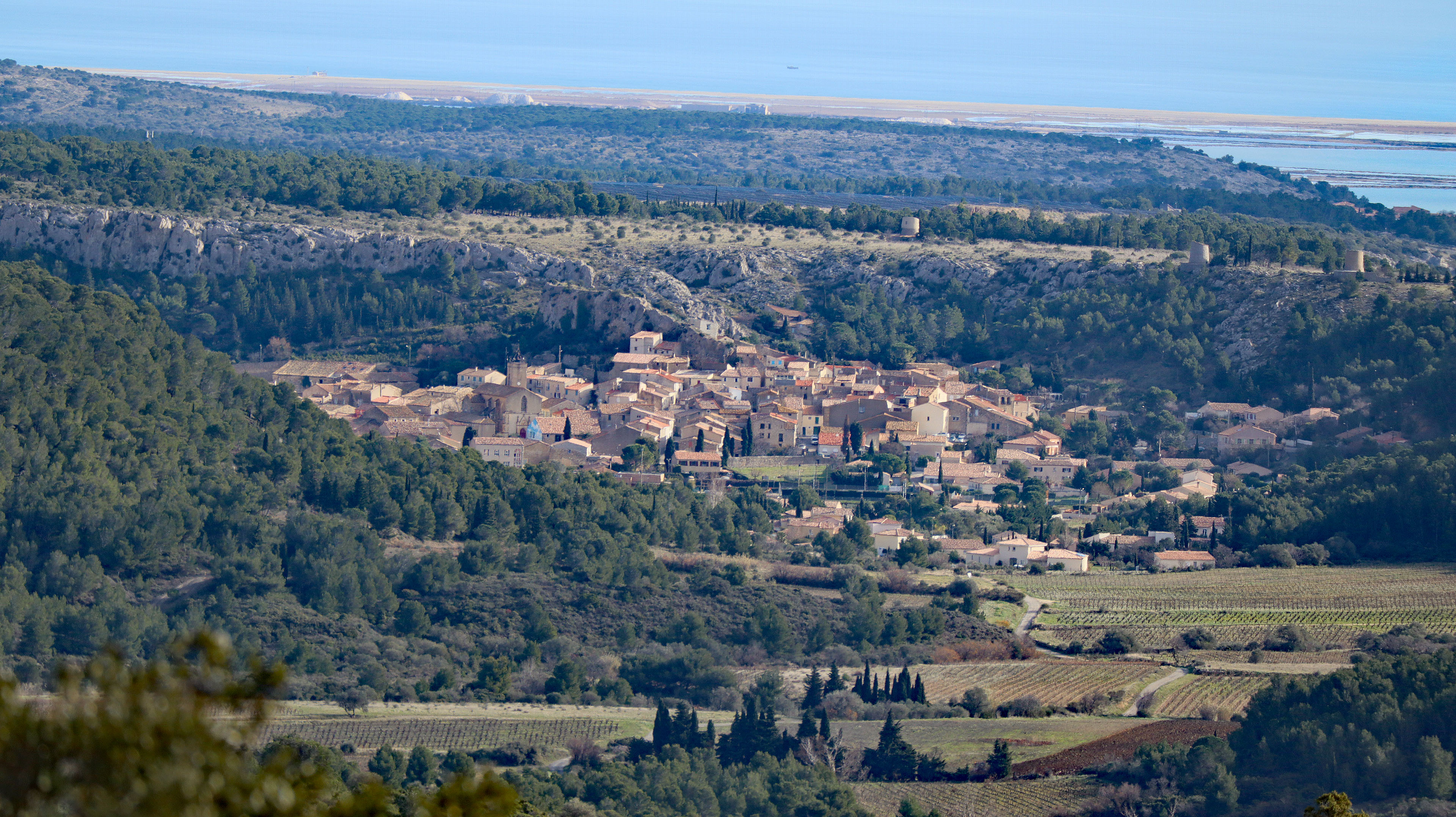 Roquefort-des-corbières