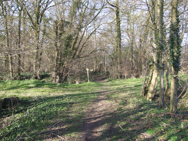 File:Start of Footpath through the Woods - geograph.org.uk - 364392.jpg