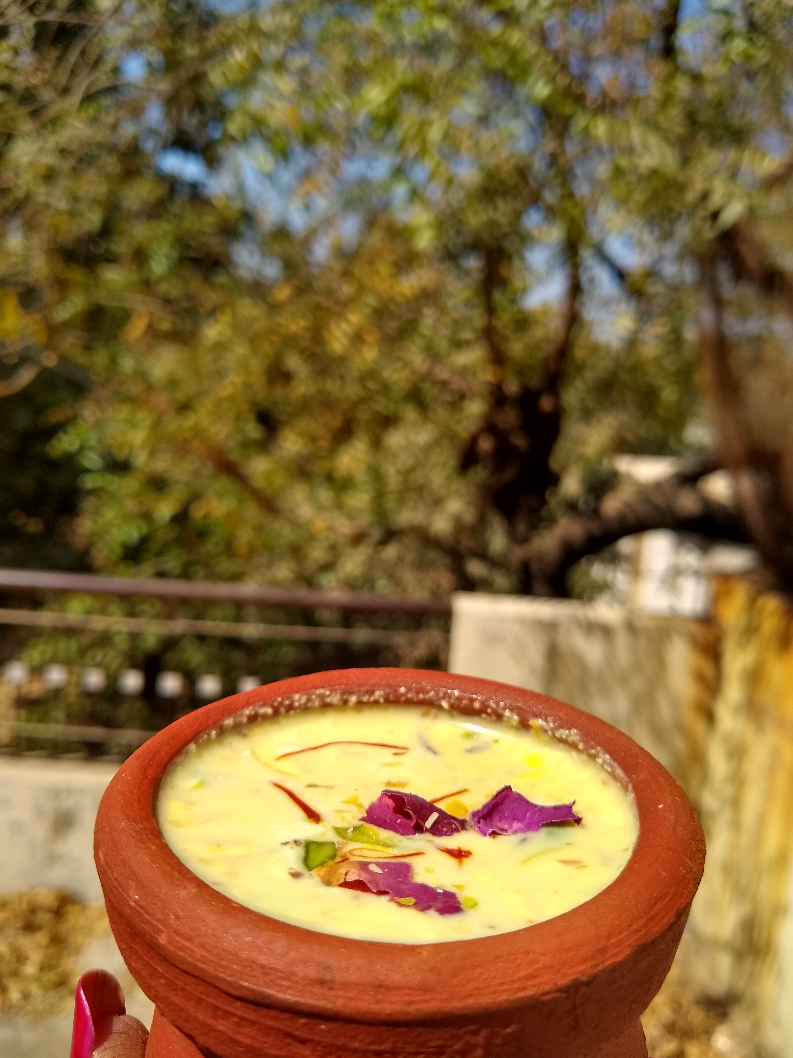 File:Thandai served in a Kulhad or a Clay cup - Gujarat - SHAILI 005.jpg -  Wikimedia Commons