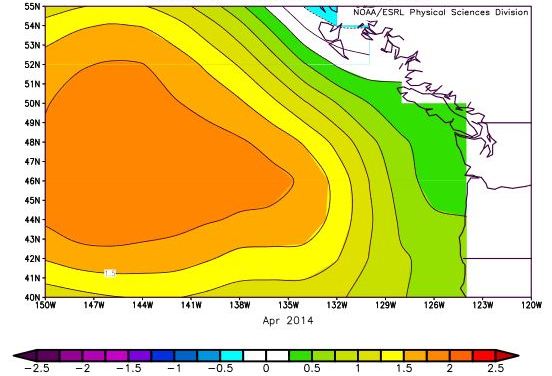 Image result for the blob ocean