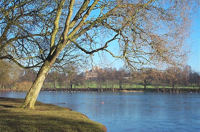 The Lake in Wollaton Park - geograph.org.uk - 17668