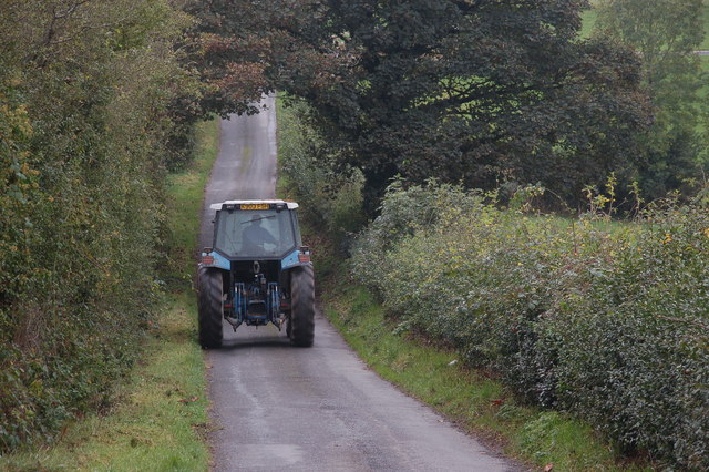 File:The Mullaghabrack Road near Scarva - geograph.org.uk - 263601.jpg