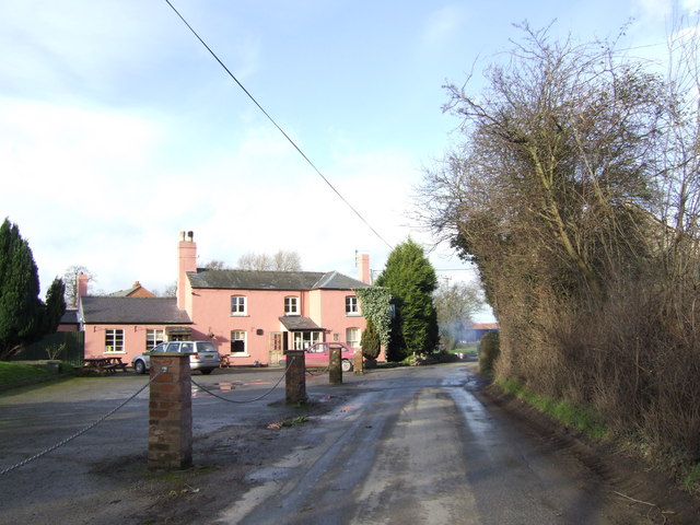 File:The Yew Tree - geograph.org.uk - 317416.jpg