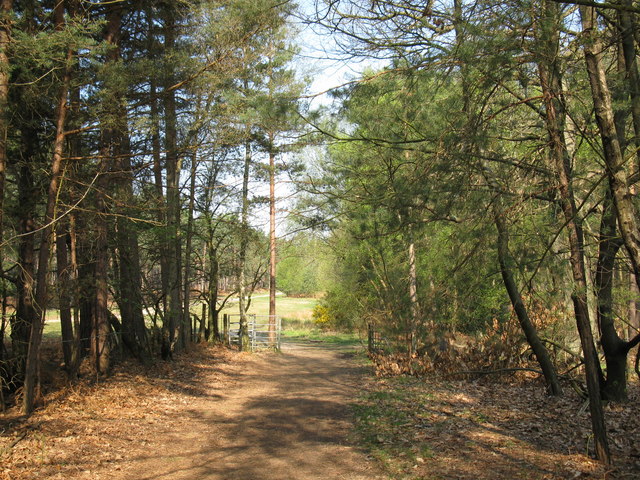 The end of Vicarage Lane - geograph.org.uk - 1262465