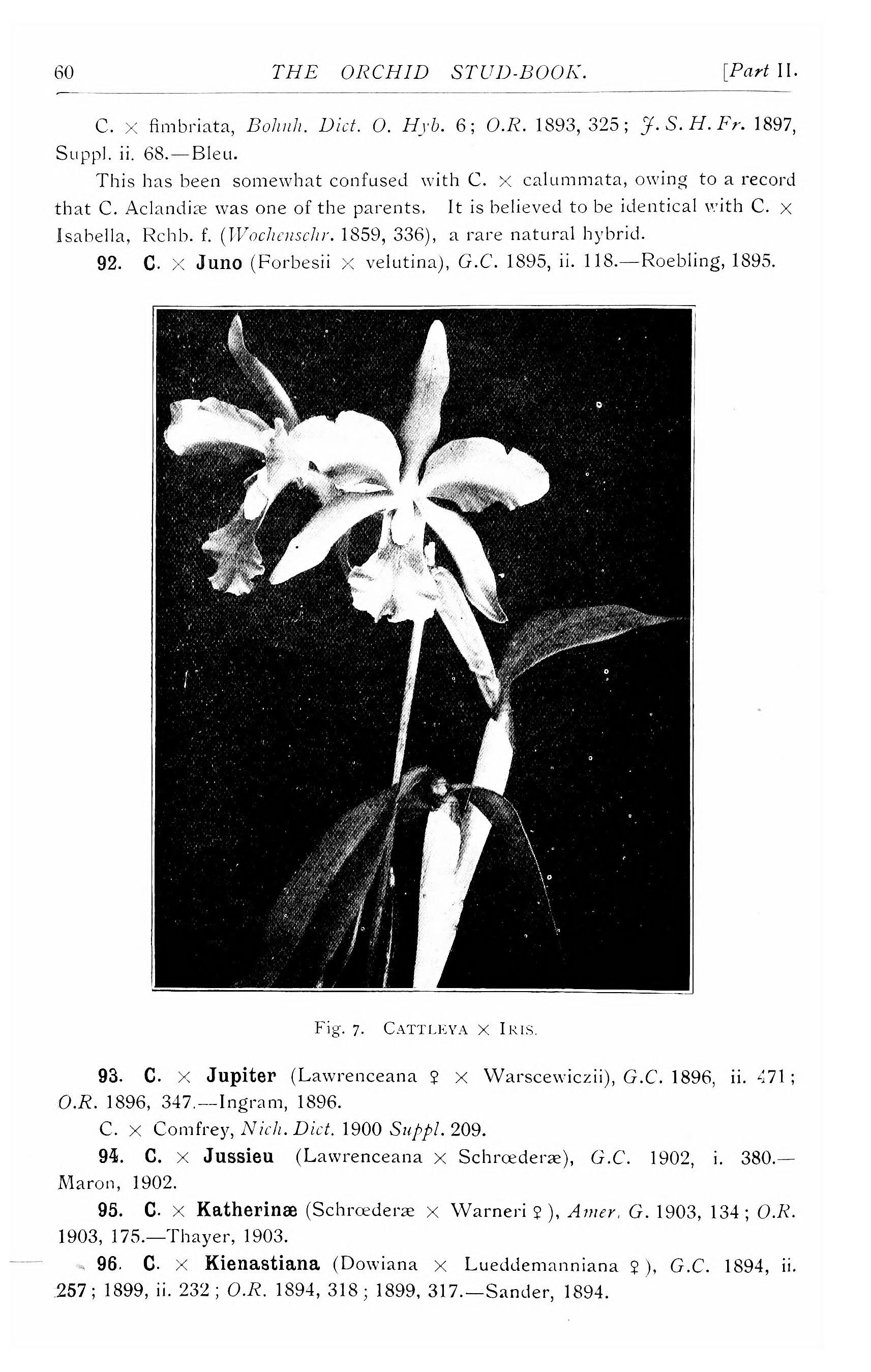 File The Orchid Stud Book An Enumeration Of Hybrid Orchids Of Artificial Origin With Their Parents Raisers Date Of First Flowering References To Descriptions And Figures And Synonymy With An Jpg Wikimedia Commons