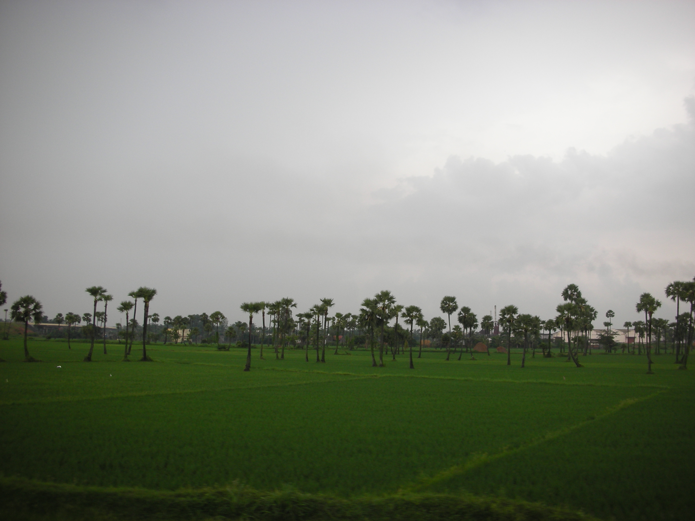 View_at_Kakinada_Outskirts.jpg