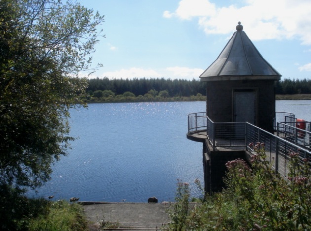 Water tower at Llyn Llech Owain - geograph.org.uk - 539863