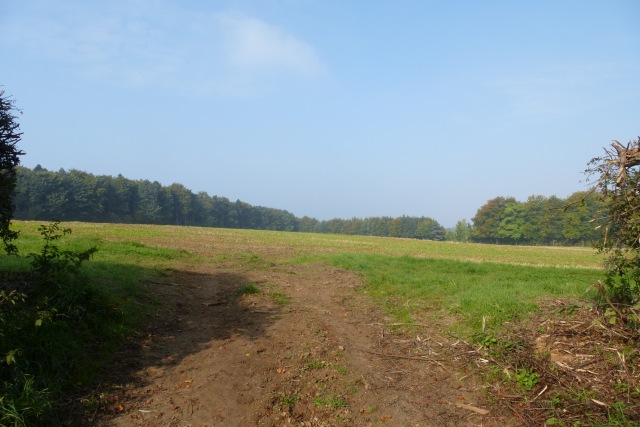 File:Well Hill - geograph.org.uk - 4687692.jpg