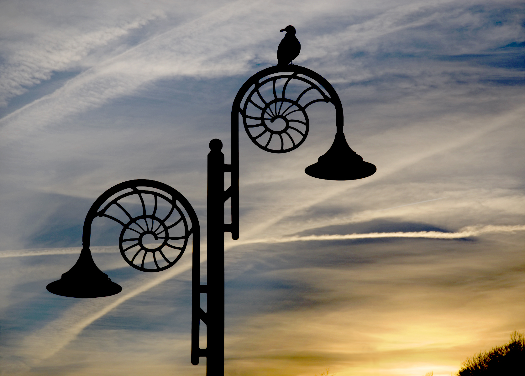 Fileammonite Lamp Post At Dusk Lyme Regis Wikimedia Commons