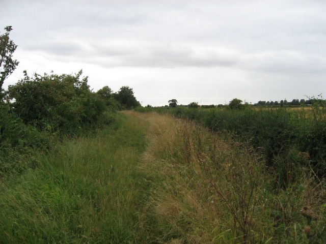 File:An Underused Public Bridleway - geograph.org.uk - 248032.jpg