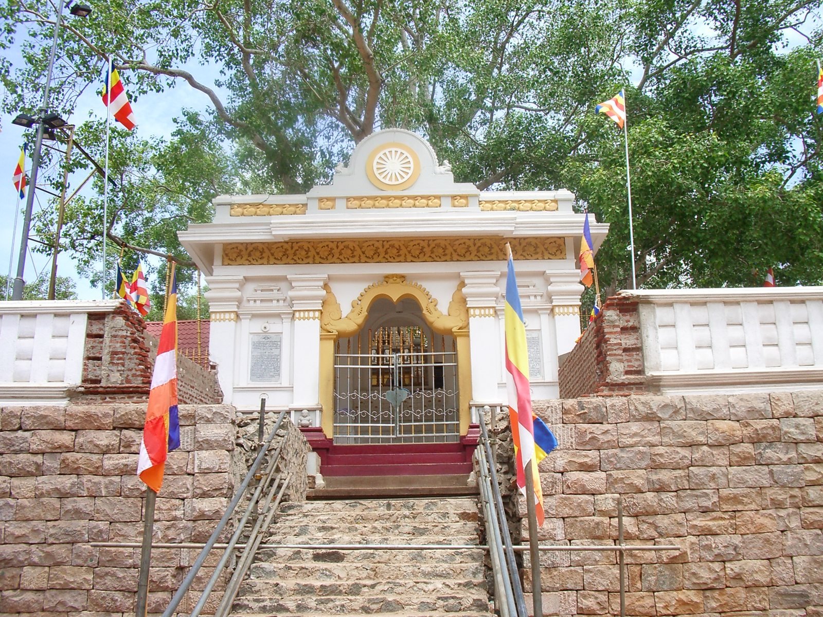 Дерево Бодхи в Анурадхапуре. Sri Maha Bodhi. Jaya Sri Maha Bodhi Tree.