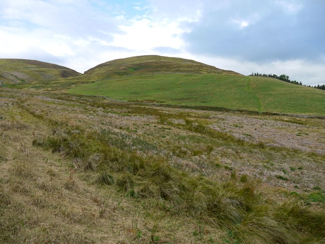 File:Boggy moorland below Harehope Hill - geograph.org.uk - 1507222.jpg