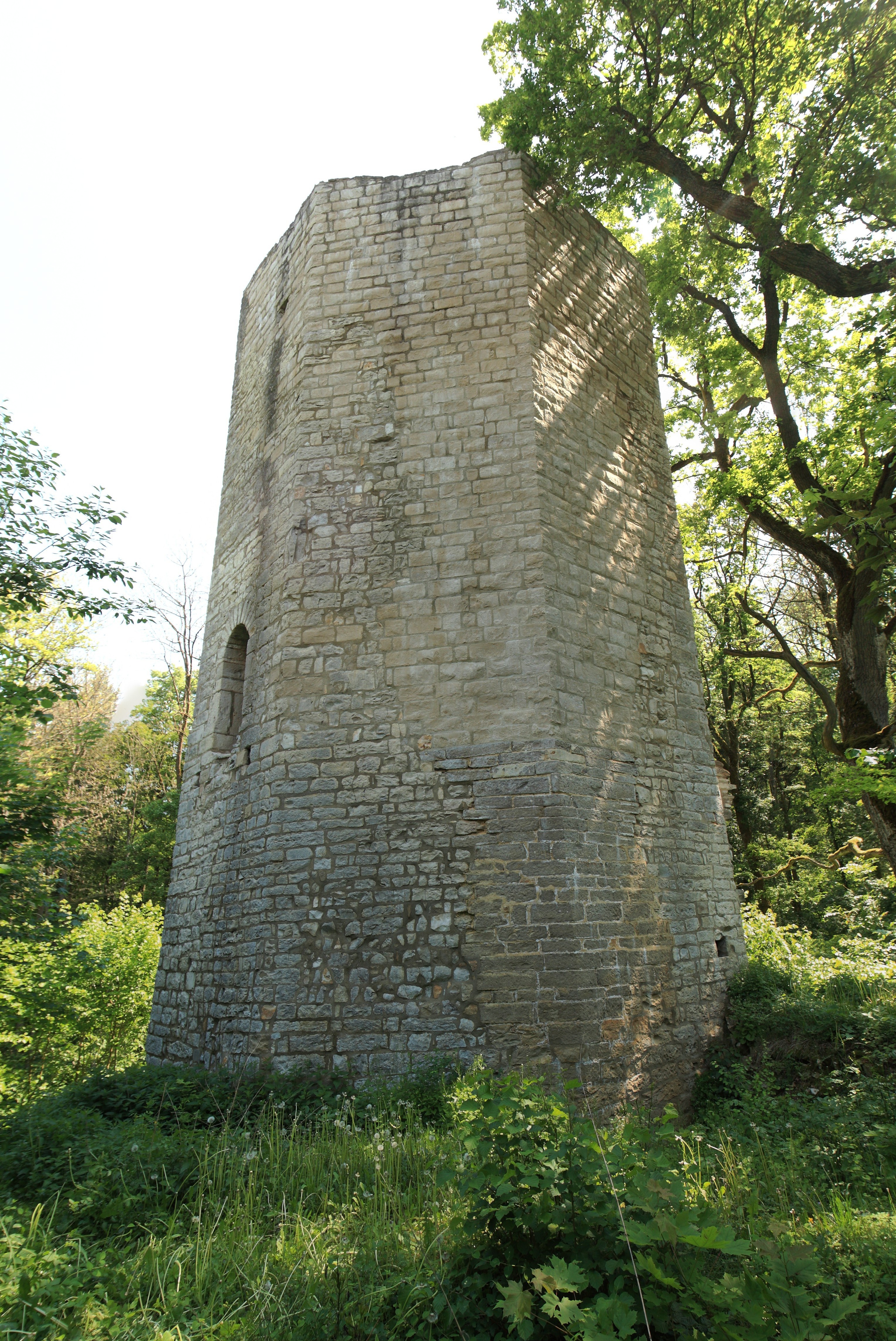 Burgruine Ebermannsdorf - Ansicht des achteckigen Wohnturmes