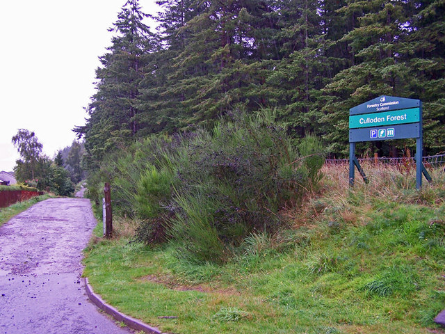 File:Culloden Forest - geograph.org.uk - 1475513.jpg
