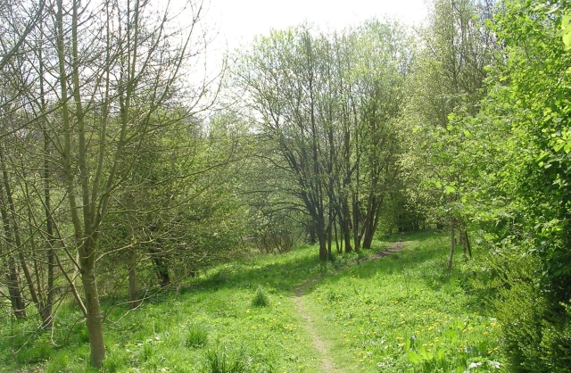 File:Ebor Mill Nature Reserve - Ebor Lane - geograph.org.uk - 1280124.jpg