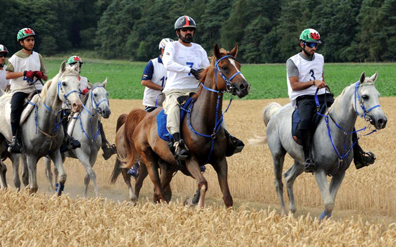 Endurance riding - Wikipedia