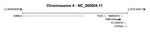 The location of FAM149A on chromosome 4 at 4q35.1 in homo sapiens.