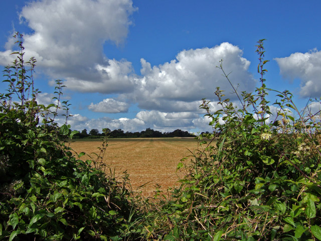 File:Farmland near Trip's Farm - geograph.org.uk - 560036.jpg