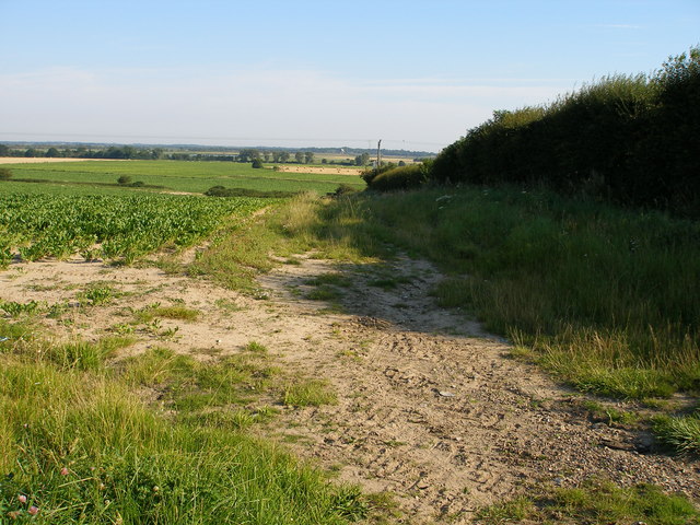 File:Farmland rolls down towards Martham Broad - geograph.org.uk - 521653.jpg