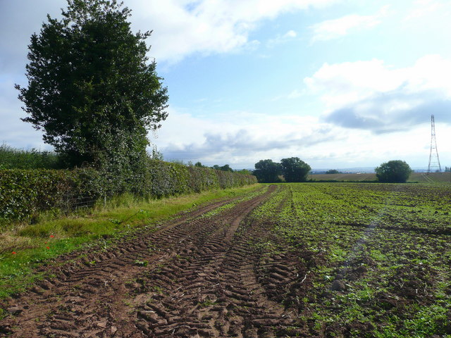 File:Field by the B4521 - geograph.org.uk - 946986.jpg