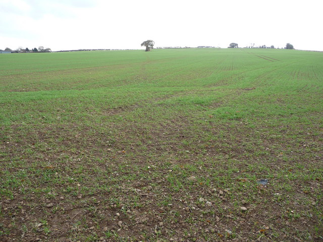 File:Fields north of Hanwood, Shropshire - geograph.org.uk - 1562243.jpg