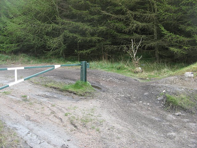 File:Getting around the gate - geograph.org.uk - 1269546.jpg