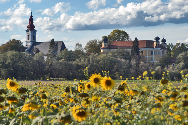 File:Gleinstaetten castle+church.png