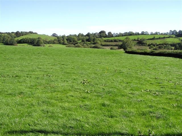 File:Granville Townland - geograph.org.uk - 241795.jpg