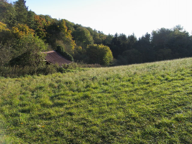 File:Growcroft Copse - geograph.org.uk - 1015812.jpg