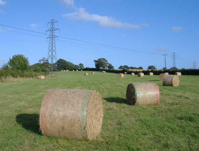 File:Hay Bales - geograph.org.uk - 1451009.jpg