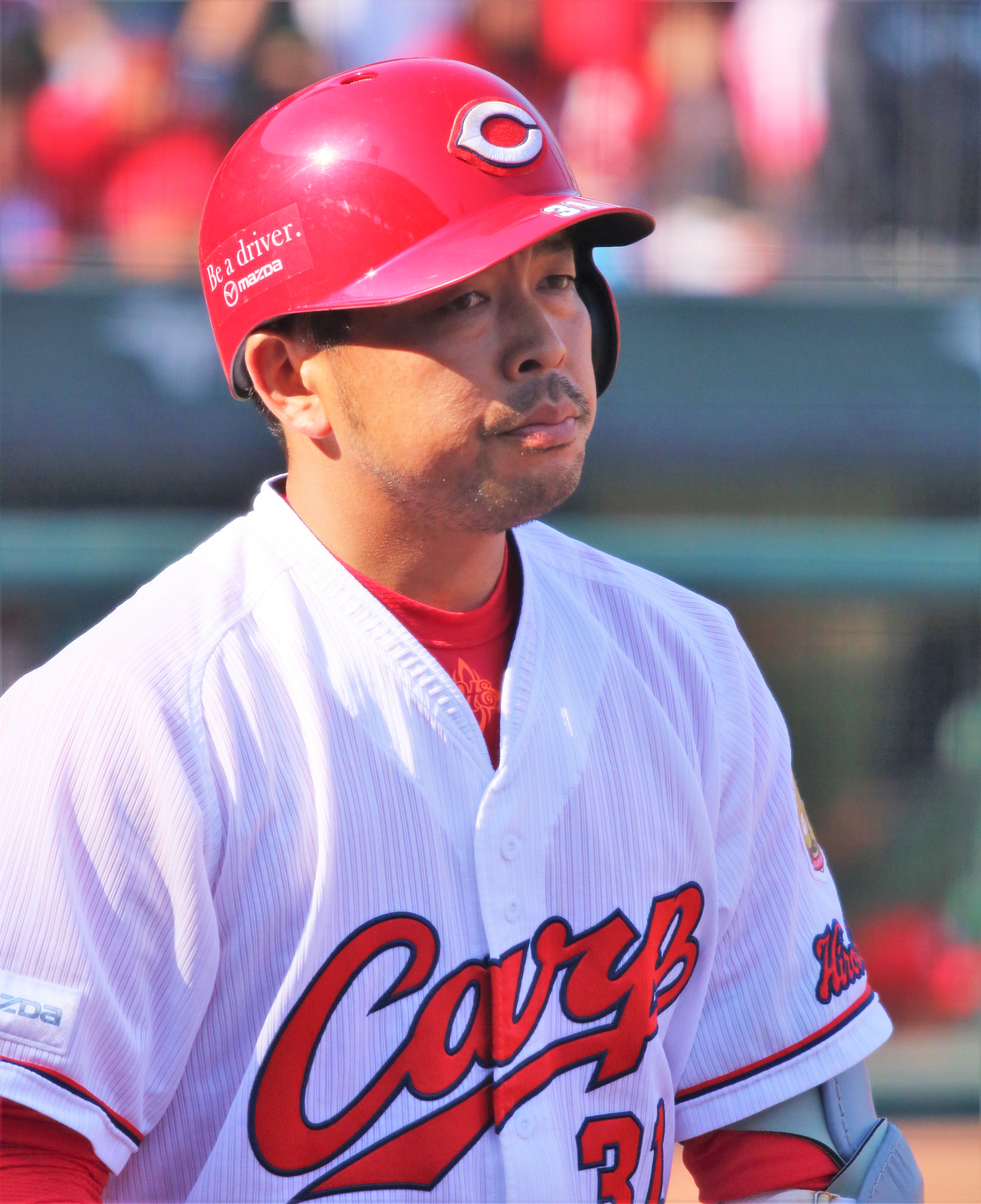 Ishihara(carp)31.jpg