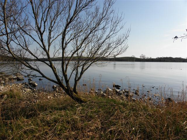 File:Lough Erne at Castle Archdale - geograph.org.uk - 1800188.jpg