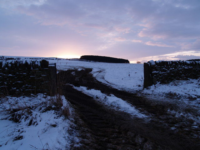 File:Mid Winter Sun setting behind Watch Hill - geograph.org.uk - 1624751.jpg