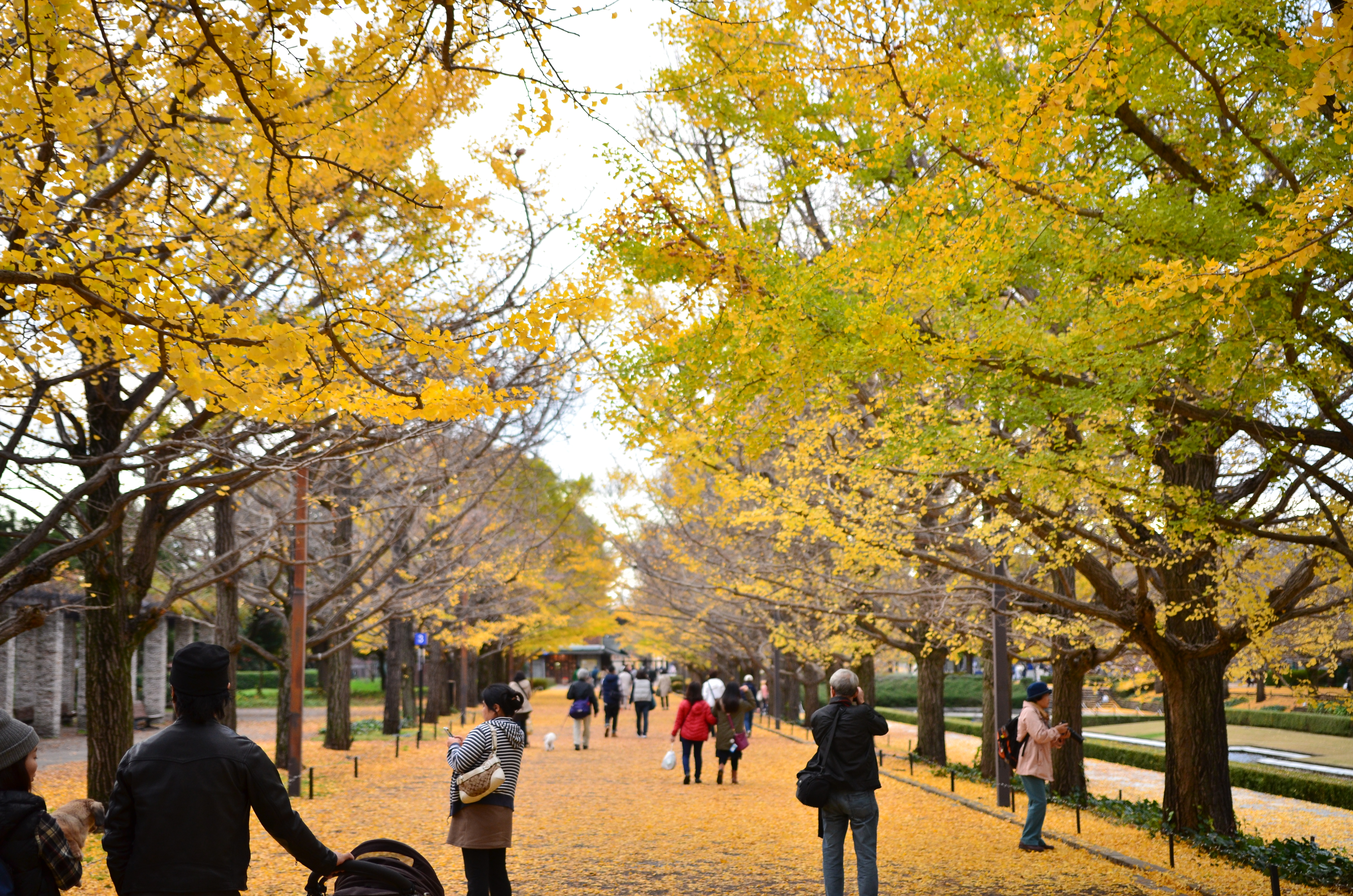 What does Tachikawa mean? - JAPAN THIS!