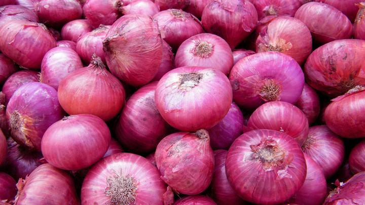 File:Onion garden.jpg